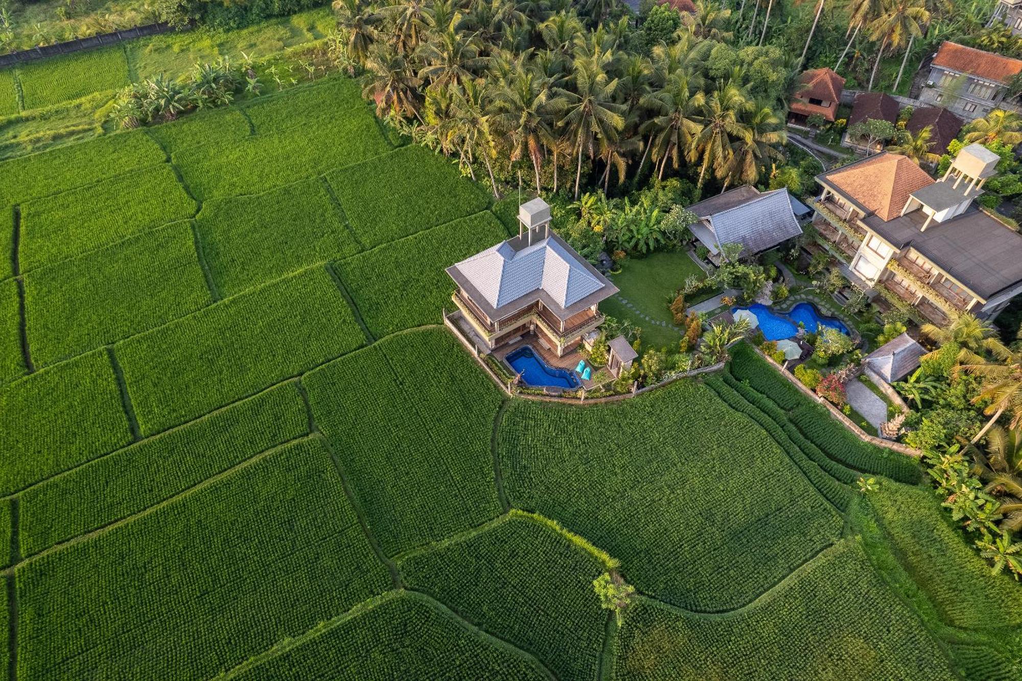 Gynandha Ubud Cottage Zewnętrze zdjęcie