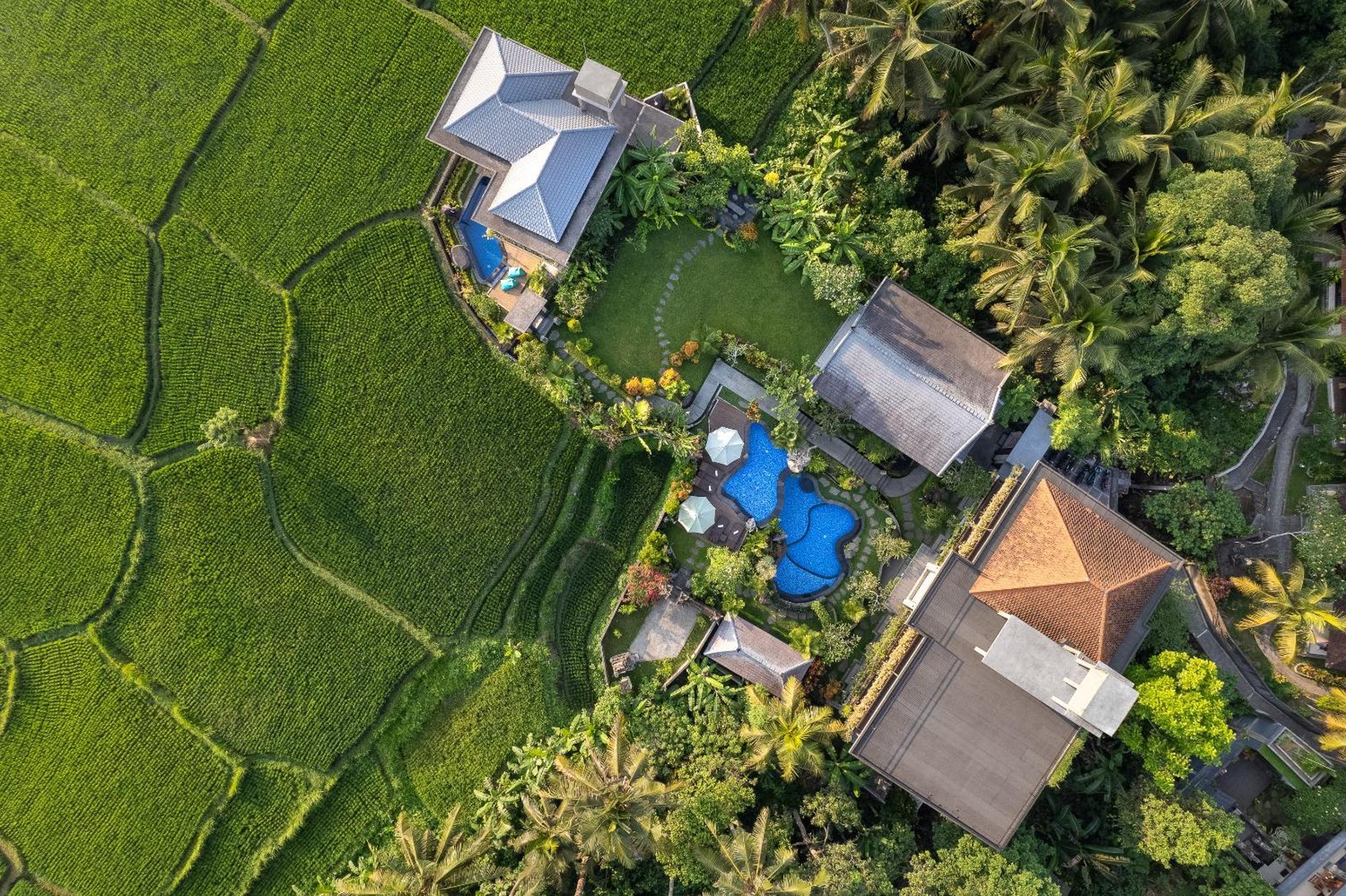 Gynandha Ubud Cottage Zewnętrze zdjęcie